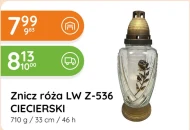 Znicz Ciecierski