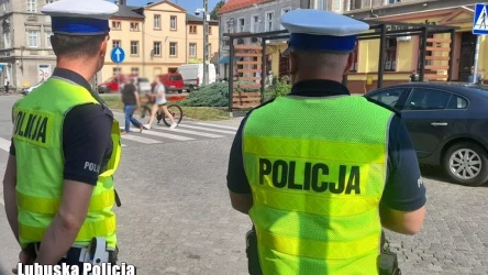 Warto wiedzieć, jak dokładnie przepisy określają ustąpienie pierwszeństwa pieszym