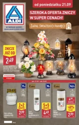 Znicze i dekoracje nagrobne - Aldi