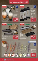 Znicze i dekoracje nagrobne - Aldi
