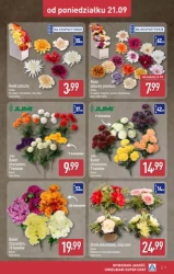 Znicze i dekoracje nagrobne - Aldi