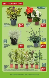 Super okazje, których nie przegapisz - Aldi