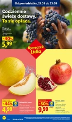 Grecja na Twoim stole - Lidl