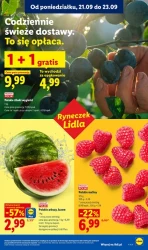 Grecja na Twoim stole - Lidl