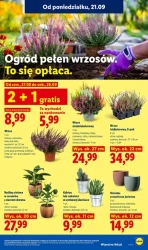 Grecja na Twoim stole - Lidl