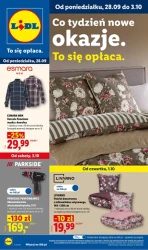 Jesienne hity do domu - Lidl