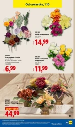 Jesienne hity do domu - Lidl