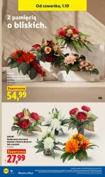 Jesienne hity do domu - Lidl