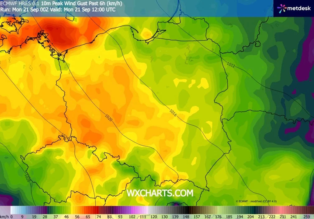 Najsilniejsze podmuchy wiatru zanotujemy do południa nad morzem. Tam porywy osiągną do 85 km/h Mapa prognozy porywów wiatru w Polsce z wyraźnym nasileniem wiatru w centralnej i północno-zachodniej części kraju, oznaczonymi intensywnymi odcieniami pomarańczu i czerwieni; skala kolorów u dołu obrazu ilustruje wartości prędkości wiatru w km/h.
