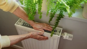 Jesienią kładę 2 listki na grzejniku. Rozwiązują uciążliwy problem