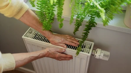 Jesienią można wykorzystać grzejnik nie tylko do ogrzewania domu. Trik z liśćmi laurowymi pomaga przy uciążliwym problemie.