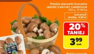 Гриби Jakość z natury