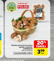 Гриби Jakość z natury