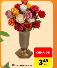 Róża