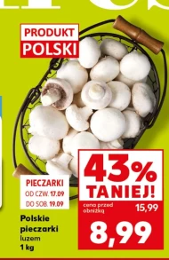 Pieczarki Polski