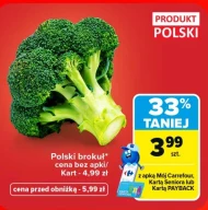 Brokuł Polski