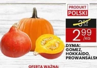 Dynia Polski