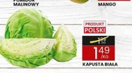 Білокачанна капуста Polski