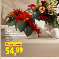 Wiązanka Goliat