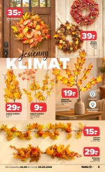 Jesienny dom - Netto