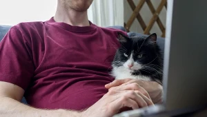 Koty przejęły amerykański rynek. Gen Z i "cat dads" weszli do gry 