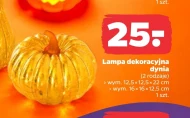 Dynia