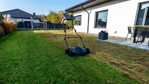 Po lecie trawa żółknie i słabo odbija? Prosty jesienny zabieg ją uratuje