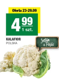 Kalafior Polski