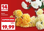 Chryzantema