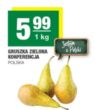 Gruszka KK Polska