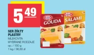 Salami Mlekovita