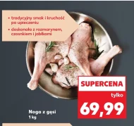 Noga z gęsi