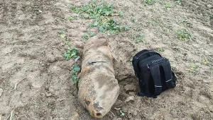 Półtora metra śmiertelnego zagrożenia na polu. Saperzy wezwani do bomby