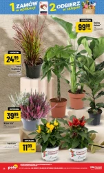 Jesienna porcja zakupowych okazji - POLOmarket