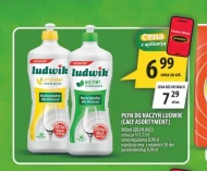Płyn do naczyń Ludwik
