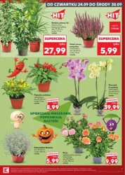 Jeszcze więcej promocji - Kaufland