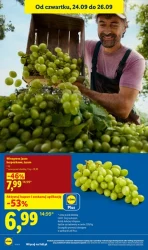 Lider świeżości! - Lidl