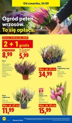 Lider świeżości! - Lidl