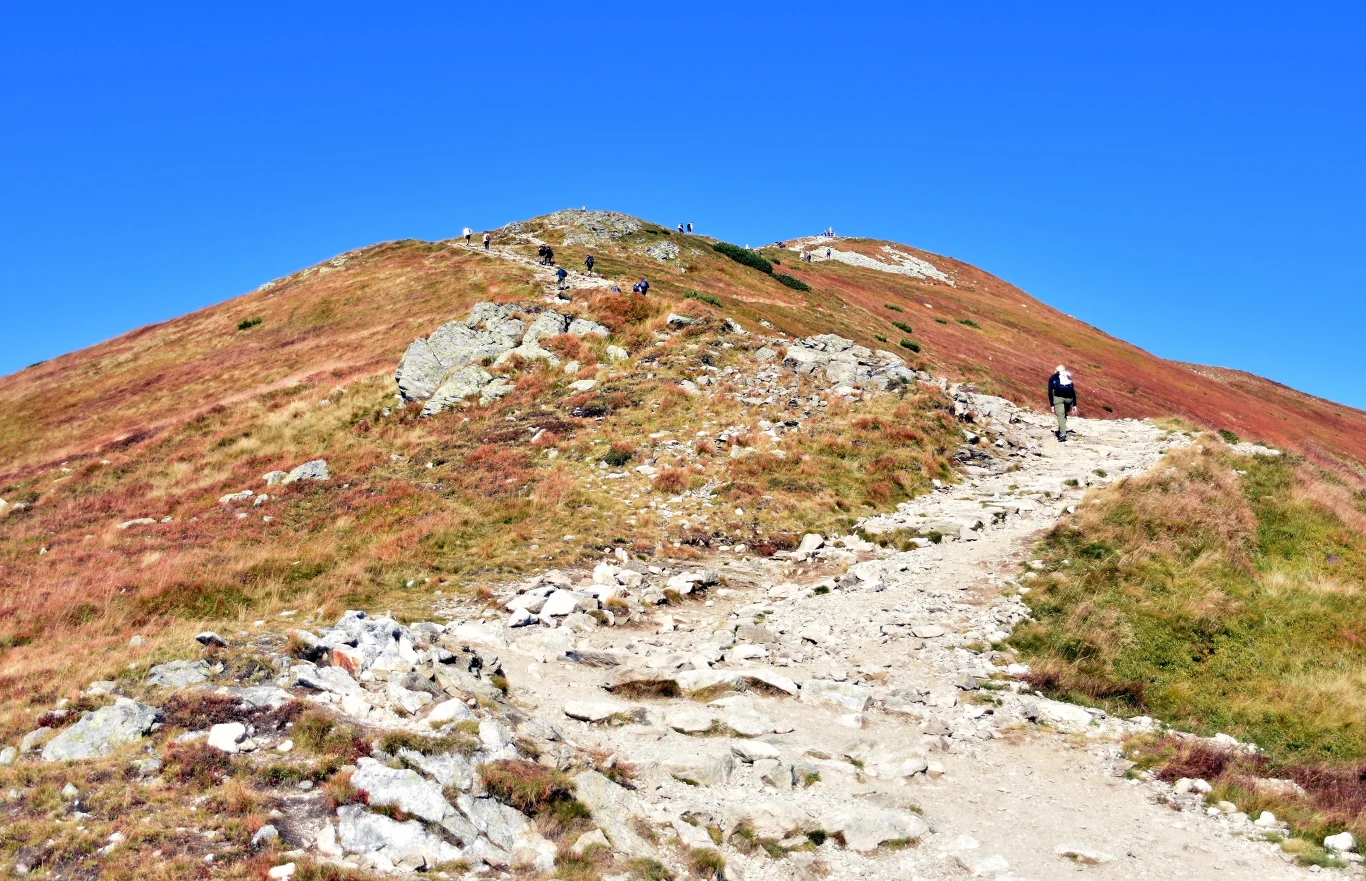 Rude zbocza i piękne widoki na Tatry. Trasa na Czerwone Wierchy jesienią ma wyjątkowy klimat. Kamienna ścieżka prowadząca na szczyt górski, po której wędrują turyści otoczeni suchą trawą pod jasnym, bezchmurnym niebem.
