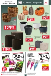 Jesienne inspiracje do domu - Selgros Cash&Carry