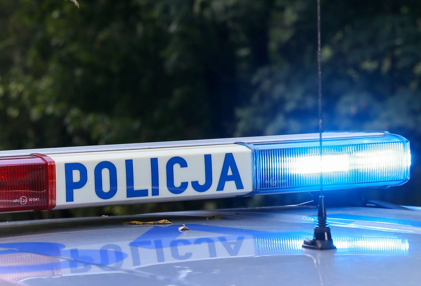 Śledczy namierzyli oszusta. Poszkodowanych jest kilkanaście tysięcy klientów. Zdj. ilustracyjne Policyjny sygnalizator świetlny z niebieskim światłem na dachu radiowozu, zdjęcie ilustracyjne.
