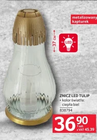 Znicz led