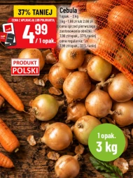 Cebula Polski