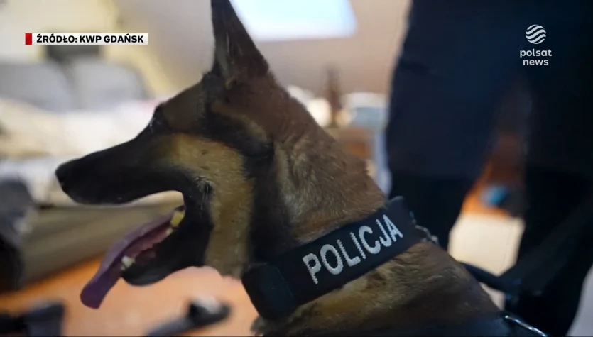 "Wydarzenia": Na wnuczka, na policjanta i na pracownika banku. Oszuści wpadli w ręce policji
