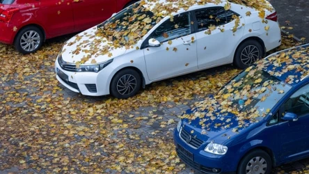 Policja ostrzega przed mokrymi liśćmi. Pojazd może wpaść na nich w poślizg