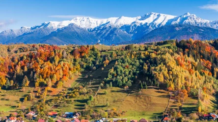 Transylwania zachwyca jesienią. Krajobraz wsi w okolicach Braszowa