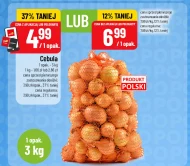 Cebula Eko