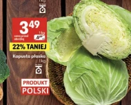 Kapusta Polski