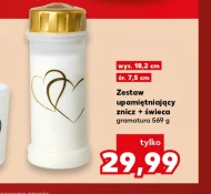Znicz