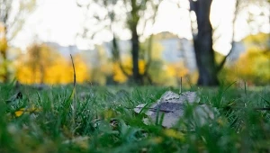 Jesień w Warszawie ma dwie twarze
